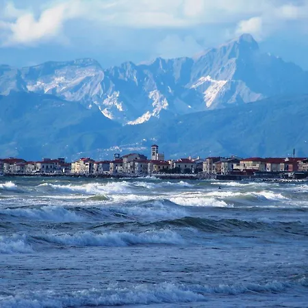 Cisanello *